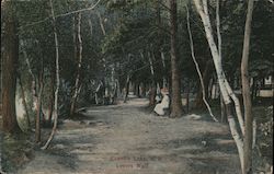 Lovers Walk Postcard
