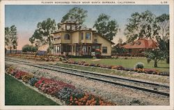 Flower Bordered Track Near Santa Barbara Postcard