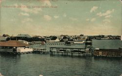 Natatorium and Chutes Corpus Christi, TX Postcard Postcard Postcard