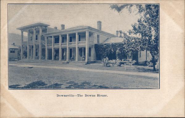The Downs House Downsville, NY Postcard