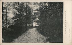 Main Walk, Holly Park Postcard