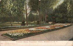 Flowers Beds, Prospect Park Postcard