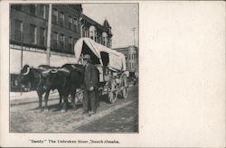 Ezra Meeker, "Dandy" The Unbroken Steer - Covered Wagon Postcard