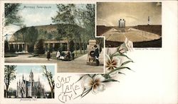 Mormon Tabernacle, Assembly Hall, State Flower Postcard