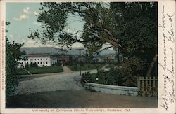 University of California (State University) Postcard