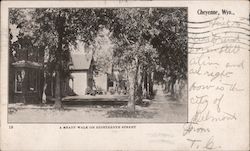 A Shady Walk on Eighteenth Street Postcard