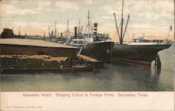 Galveston Wharf, Shipping Cotton to Foreign Ports Postcard