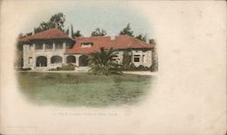 Park Lodge, Golden Gate Park Postcard
