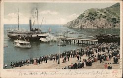 STR Cabrillo At Avalon, Santa Catalina Island Postcard