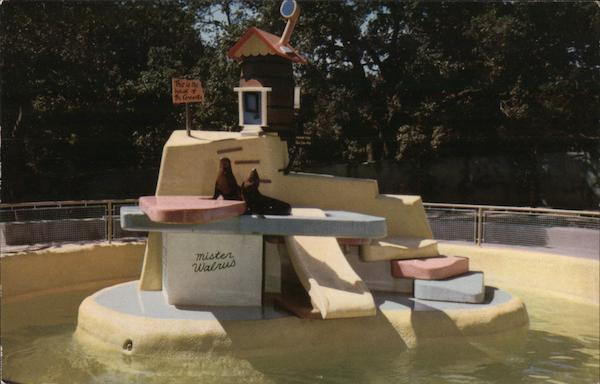 The Walrus and the Carpenter Children's Fairylane Oakland California