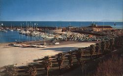 Yacht Harbor Business Card