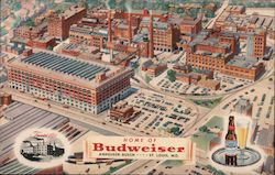 Home of Budweiser Anheuser-Dusch Postcard