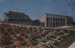 "Football and Flowers", Texas Christian University Postcard