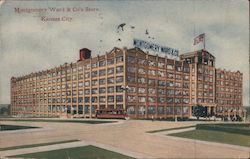 Montgomery Ward & Company Store Postcard