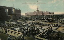 Kansas City Stock Yards Postcard