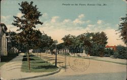 Pergola on the Paseo Postcard