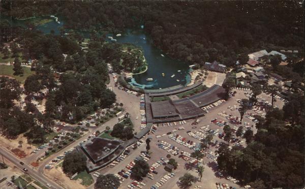 Aerial Photograph of Silver Springs Florida