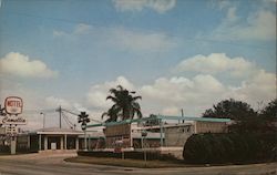 Camellia Motel Postcard