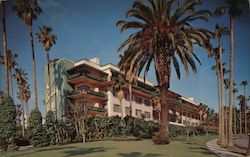 The Beverly Hills Hotel and Bungalows California Postcard Postcard Postcard