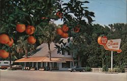 The Orange Shop Postcard