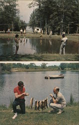 Hey-Ru Trout Fishing Park 3 Crystal Clear Trout Ponds, Rainbow, Brown & Speckled Trout Postcard