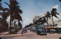 Lincoln Road Miami Beach, FL Postcard Postcard Postcard