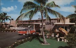 Alberts motel Miami, FL Postcard Postcard Postcard