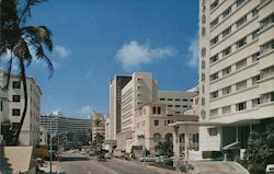 Looking North on Collins Avenue Postcard
