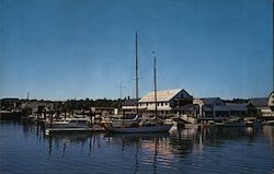 Rex Marine Center Norwalk, CT Postcard Postcard Postcard