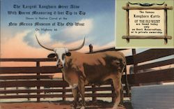 The Largest Longhorn Steer Alive Moriarty, NM Postcard Postcard Postcard