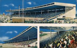 Grand Stand - Canadian National Exhibition Postcard