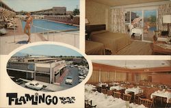 Flamingo Motor Hotel Postcard