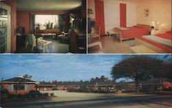 Pate's Motel Postcard