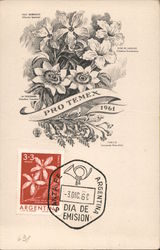 Pro Temex 1961 - Samohu (Chorisia Speciosa) 3+3 Pesos Santa Fe, Argentina Postcard Postcard Postcard