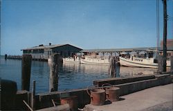 Dock at Crisfield Harbor Postcard