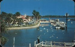 City Island Postcard
