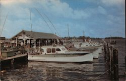Famous Pier "5" Postcard