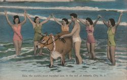 Elsie The Cow, People, 93rd Annual A.M.A. Convention Atlantic City, NJ Postcard Postcard Postcard