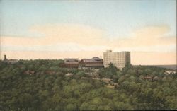Pocono Manor Inn and Cottages from the Lookout Postcard