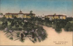 The Carolina Pinehurst, NC Postcard Postcard Postcard