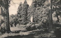 Grotto of Our Lady the Cenacle Warrenville, IL Postcard Postcard Postcard