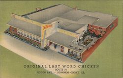 Original "Last Word Chicken" Downers Grove, IL Postcard Postcard Postcard