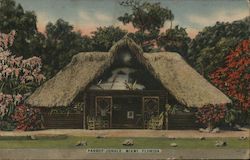 Parrot Jungle Postcard