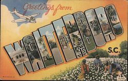 Greetings from Walterboro - Airplane, Cotton Pickers South Carolina Postcard Postcard Postcard