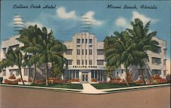 Collins Park Hotel Postcard