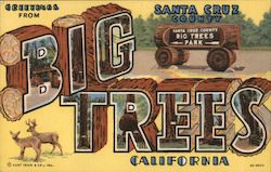 Greetings From Big Trees Santa Cruz, CA Postcard Postcard Postcard