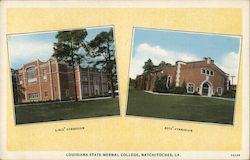 Louisiana State Normal College Postcard