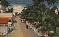 Promenade at Roney Plaza Pools Postcard