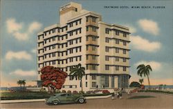 Traymore Hotel Miami Beach, FL Postcard Postcard Postcard