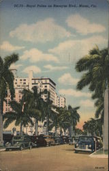 Royal Palms on Biscayne Blvd. Postcard